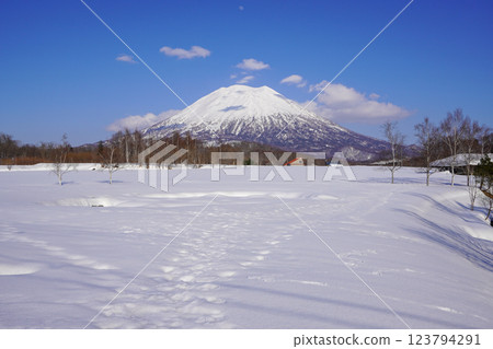 Mt. Yotei in March 2025 as seen from near the Arishima Memorial Museum 123794291