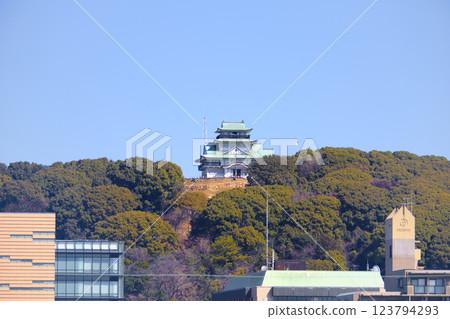 [Aichi Prefecture] Komakiyama Castle in Komaki City 123794293