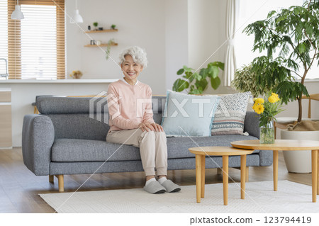 Smiling senior woman looking at camera while sitting on sofa at home 123794419
