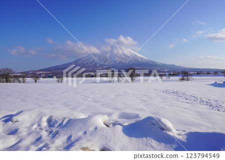 2025 年 3 月從八幡停車場看到的羊蹄山 123794549