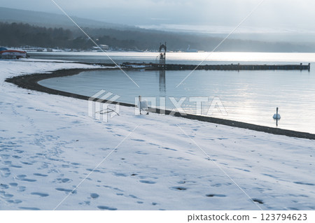 山中湖和富士山的美麗風景 123794623