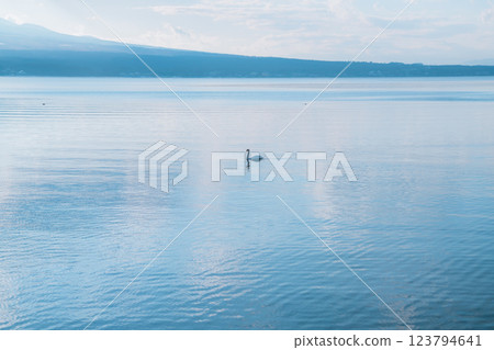 山中湖和富士山的美麗風景 山中湖和富士山的美麗風景 123794641