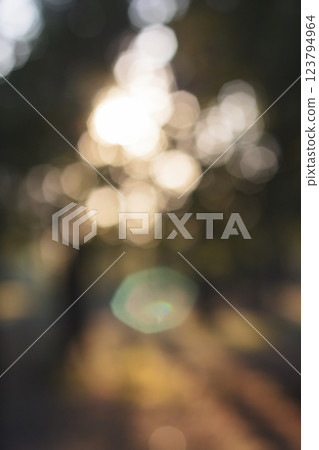 bokeh on the background of nature 123794964