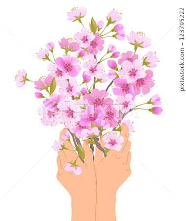 Bouquet of pink sakura flowers in hands. Mother's Day card. Flowers as a gift to beloved parents as a sign of respect and gratitude. Cherry flowers. Bouquet of pink sakura flowers in hands. Mother's Day card. Flowers as a gift to beloved parents as a sign of respect and gratitude. Cherry flowers. 123795222