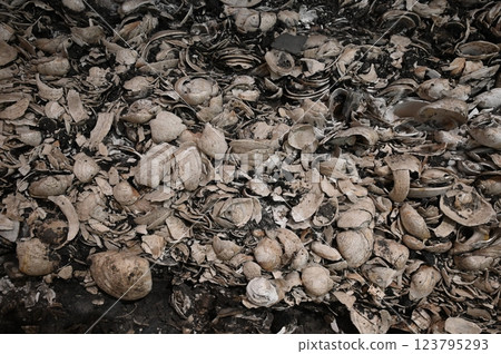 Shellfish deposits Shellfish deposits 123795293