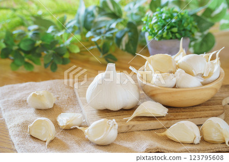 garlic  123795608