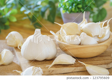 garlic  123795609