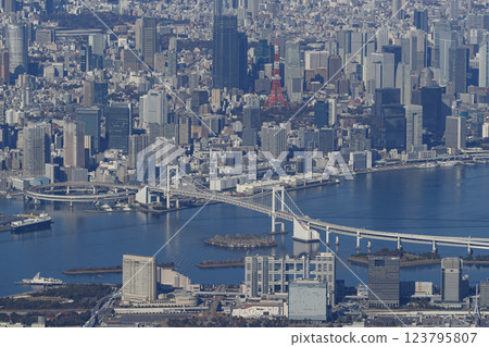 Tokyo seen from the sky 123795807