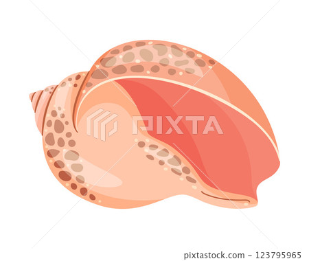 Seashell Hand drawn. Hand drawn trendy flat style isolated icon on a transparent background seashell 123795965