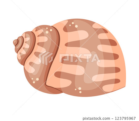 Seashell Hand drawn. Cartoon style flat illustration seashell isolated icon 123795967