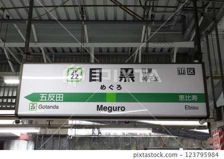 [JY22] Meguro Station (Yamanote Line Inner Loop: Station Sign) 123795984