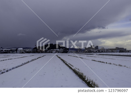 Rice field in winter snow, Fukui, Japan 123796097