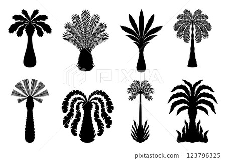Palm tree. Boho silhouette jungle plant. Sun tropical logo. Hand drawn coconut. Caribbean hotel paradise. Rainforest botany. Trunk with foliage leaves. Vector abstract black icons set 123796325