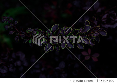 Kanto scenery 123796509