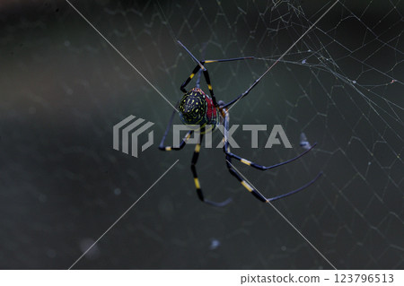 Kanto scenery 123796513