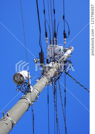 桿上是什麼 123796887