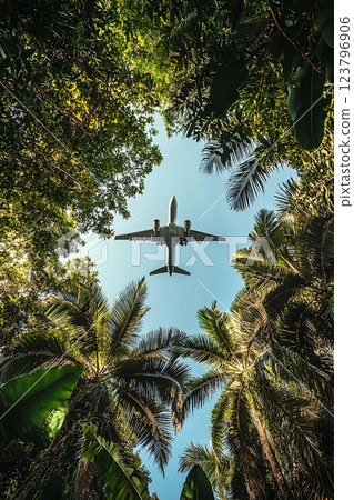 Aerial view of airplane flying over lush tropical jungle, surrounded by tall palm trees and vibrant greenery, creating striking contrast against blue sky 123796906