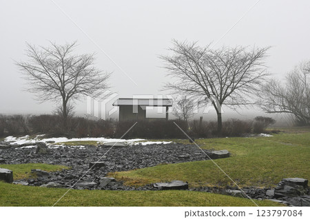 A small wooden shelter stands alone between two bare trees in a foggy landscape 123797084