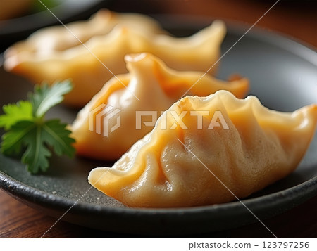 Traditional Asian Steamed Japanese GYOZA  with Soy Dipping Sauce on Fresh Lettuce Leaves A Culinary Still Life Traditional Asian Steamed Japanese GYOZA  with Soy Dipping Sauce on Fresh Lettuce Leaves A Culinary Still Life 123797256