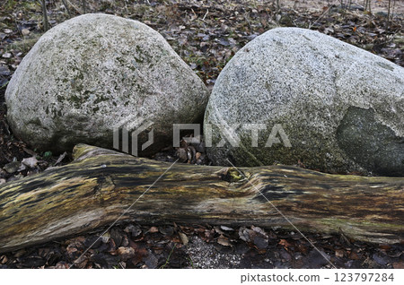 the rich textures of two large boulders resting side by side, their rough surfaces marked by lichen and weathering the rich textures of two large boulders resting side by side, their rough surfaces marked by lichen and weathering 123797284