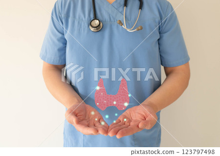 Thyroid gland anatomy on doctor hands. Awareness of thyroid disease such as hyperthyroidism, hypothyroidism, thyroiditis and Hashimoto thyroiditis. World thyroid day. Thyroid gland anatomy on doctor hands. Awareness of thyroid disease such as hyperthyroidism, hypothyroidism, thyroiditis and Hashimoto thyroiditis. World thyroid day. 123797498