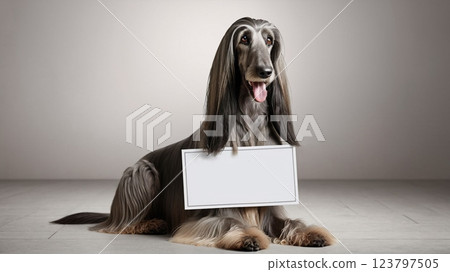 阿富汗獵犬留言板 阿富汗獵犬留言板 123797505
