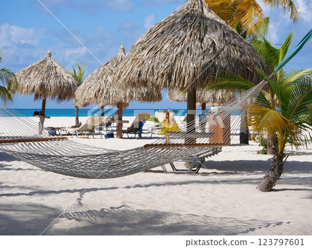 Organized tropical beach resort with sun loungers, hammock and thatch straw umbrellas on Aruba island, Eagle beach 123797601
