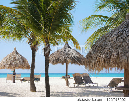 Equipped tropical beach resort with sun loungers and thatch straw umbrellas on Aruba island, Eagle beach 123797602