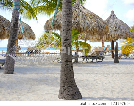 Equipped tropical beach resort with sun loungers and thatch straw umbrellas on Aruba island, Eagle beach 123797604