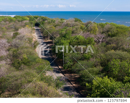 Coastal road winding through lush greenery near shoreline on sunny day Coastal road winding through lush greenery near shoreline on sunny day 123797894