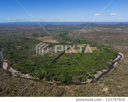 Lush green forest surrounds winding river in serene landscape at midday 123797920