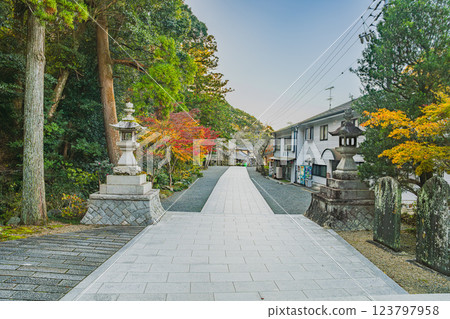 袋井市寶田山尊永寺的參道與紅葉（靜岡縣） 123797958