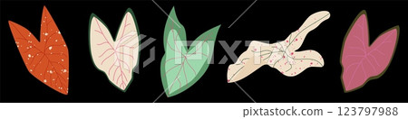 Set of colorful Caladium leaves. Tropical plants in a modern botanical flat style. Elephant Ear foliage. Vector Illustration on dark background for fashion prints, wallpapers, decorative elements Set of colorful Caladium leaves. Tropical plants in a modern botanical flat style. Elephant Ear foliage. Vector Illustration on dark background for fashion prints, wallpapers, decorative elements 123797988