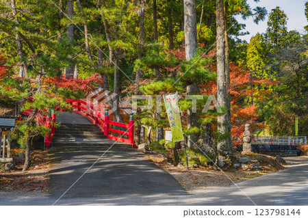 Autumn foliage at Daidoin Temple in Morimachi (Shizuoka Prefecture) 123798144