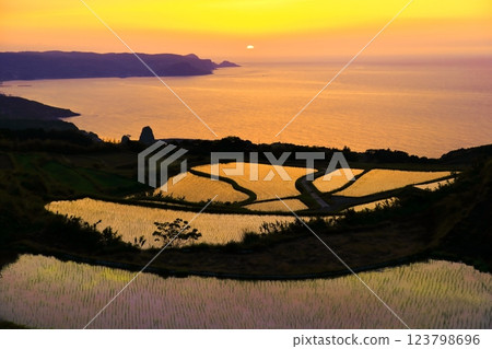 [Yamaguchi Prefecture] Togo Hata terraced sunset 123798696