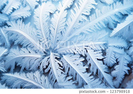 Frosty winter background of snowflakes on glass, christmas new year texture natural blue. 123798918