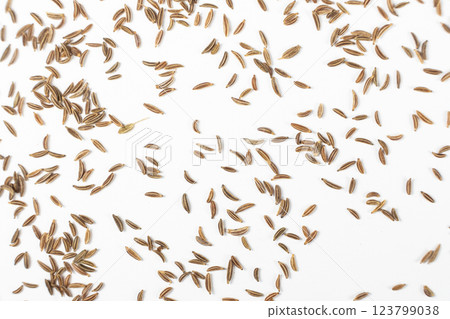 Dried Cumin Seeds Close-Up Culinary Ingredient on White Top View Dried Cumin Seeds Close-Up Culinary Ingredient on White Top View 123799038