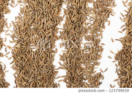 Dried Cumin Seeds Close-Up Culinary Ingredient on White Top View Dried Cumin Seeds Close-Up Culinary Ingredient on White Top View 123799039