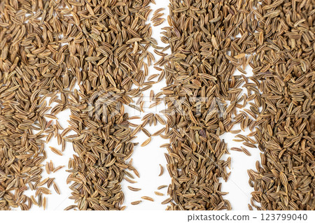 Dried Cumin Seeds Close-Up Culinary Ingredient on White Top View Dried Cumin Seeds Close-Up Culinary Ingredient on White Top View 123799040