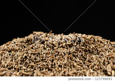 Dried Whole Cumin Traditional and Natural Spice Dried Whole Cumin Traditional and Natural Spice 123799041