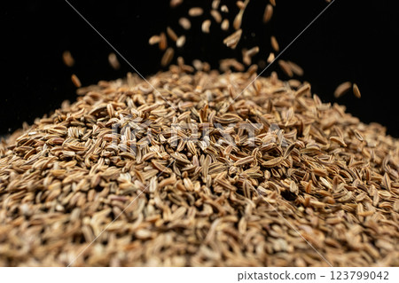 Dried Whole Cumin Traditional and Natural Spice 123799042