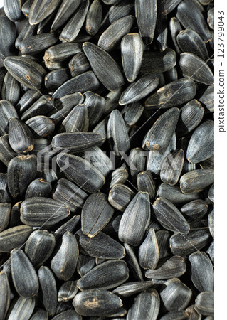 Heap of Roasted Sunflower Seeds Food Texture Top View Heap of Roasted Sunflower Seeds Food Texture Top View 123799043