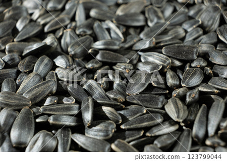 Crunchy Roasted Sunflower Seeds Close-Up Crunchy Roasted Sunflower Seeds Close-Up 123799044
