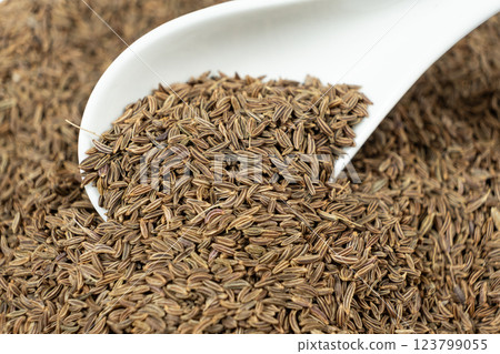 Whole cumin seeds Carum carvi L. in a spoon close-up 123799055