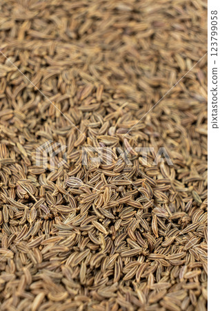 Organic Cumin Seeds for Cooking and Seasoning 123799058