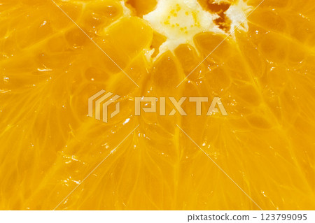 Macro Texture Of Ripe Fresh Orange Fruit Pulp. 123799095