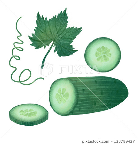 A cucumber with a leaf and a vine, a handmade digital illustration highlighted on a white background 123799427
