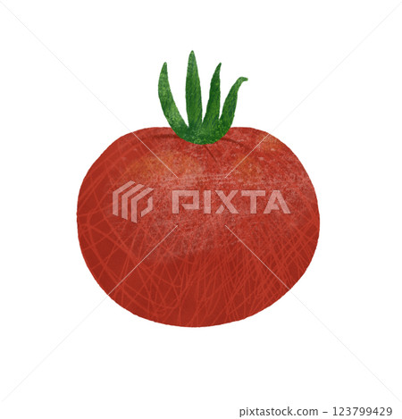 Red ripe tomato, hand drawn digital illustration isolated on white background Red ripe tomato, hand drawn digital illustration isolated on white background 123799429