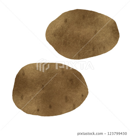 Potato tubers for cooking, handmade digital illustration on a white background Potato tubers for cooking, handmade digital illustration on a white background 123799430