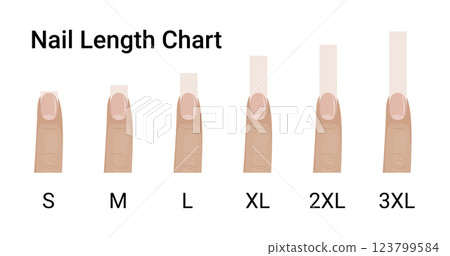 Short, middle and long nails length vector illustration design. 123799584
